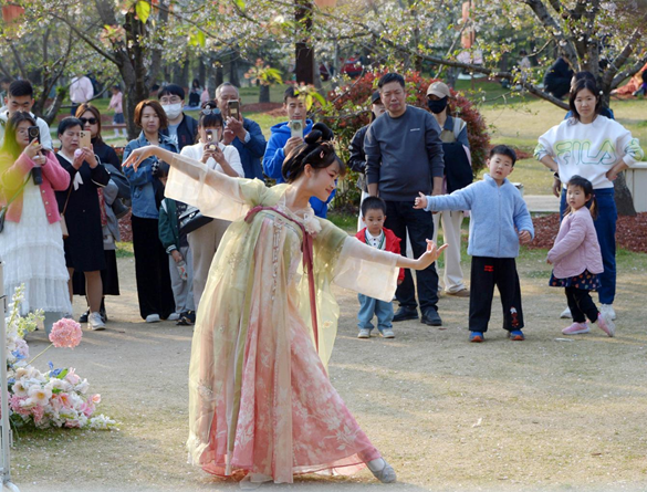 清明假期期間，上海顧村公園櫻花島上，游客在觀賞國風(fēng)漢服快閃表演。（圖片來源：視覺中國）