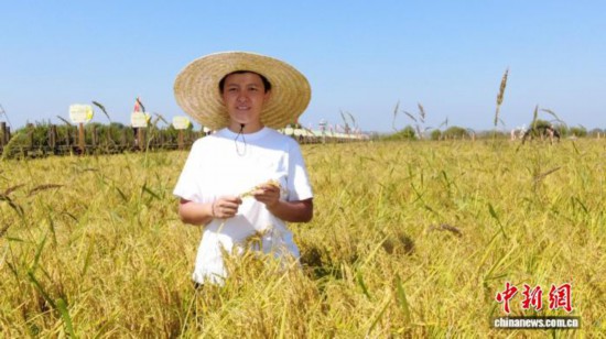 全國人大代表、寧安市渤海鎮(zhèn)上官地村黨支部書記、村委會(huì)主任陳雨佳在稻田中。 受訪者供圖